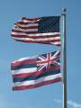 8736_Flags
