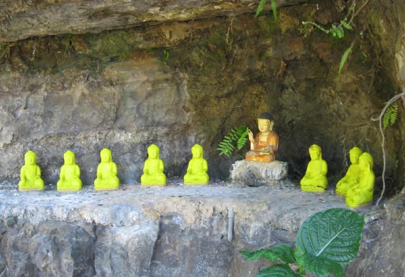8900_Buddhas