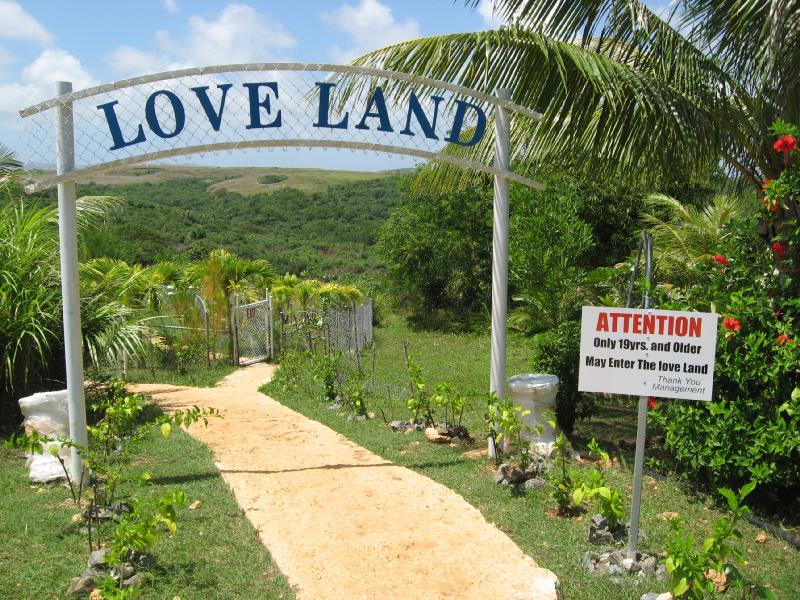 8902_Love_Land