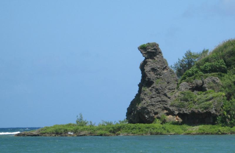 8914_Bear_Rock