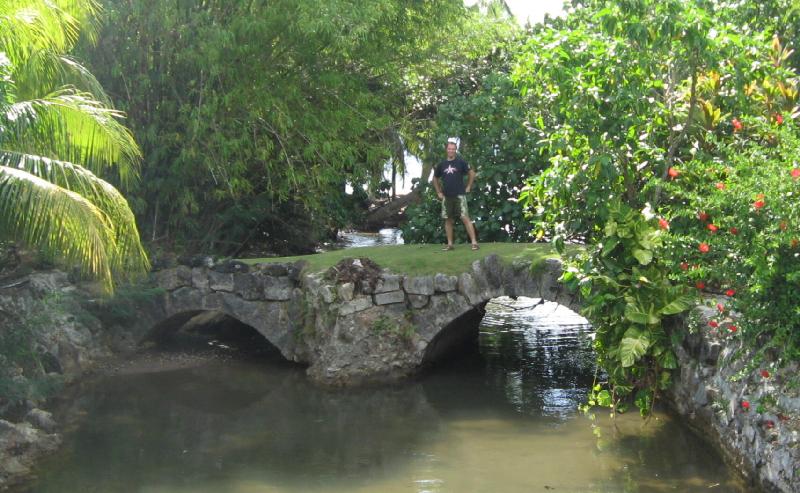 8928_Taleifac_Bridge