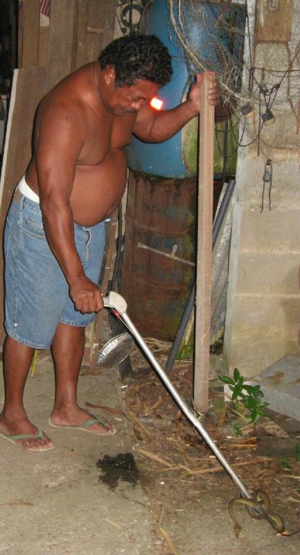 8934_Snake-hunter_Julius