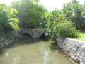 8927_Taleifac_Bridge