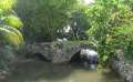 8928_Taleifac_Bridge