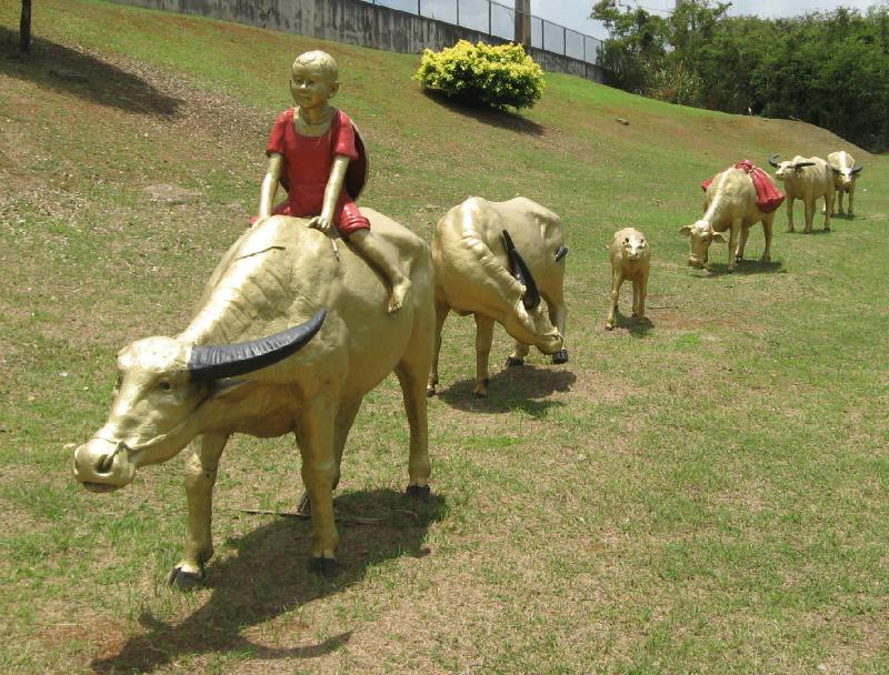 8936_Chinese_Park