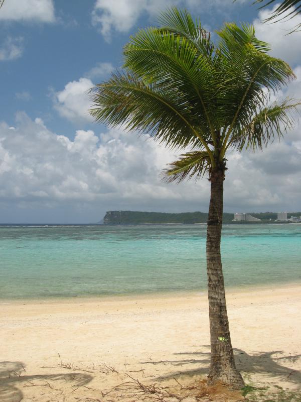 8946_Ypao_beach