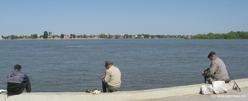 9291_Volga