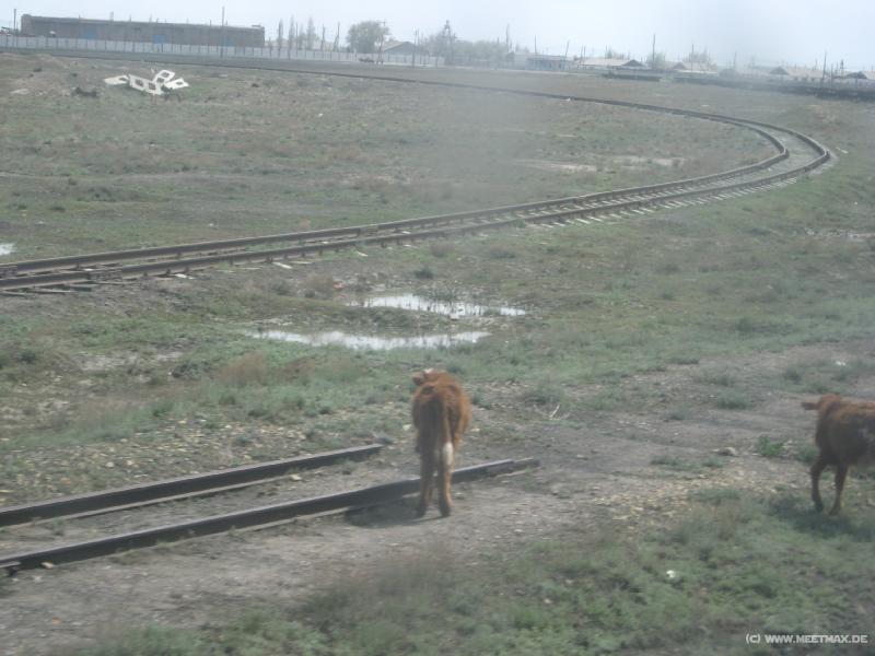 9420