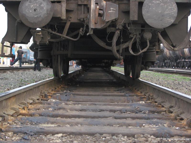 9446