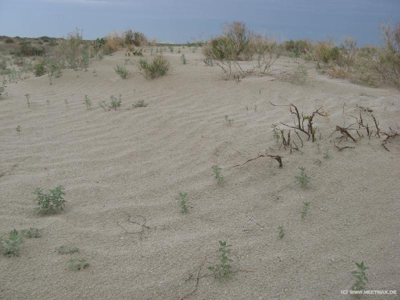 9537_Aral_Sea_desert