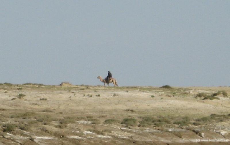 9643_Lonely_rider