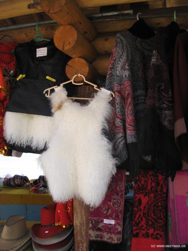 0083_Little_sheep