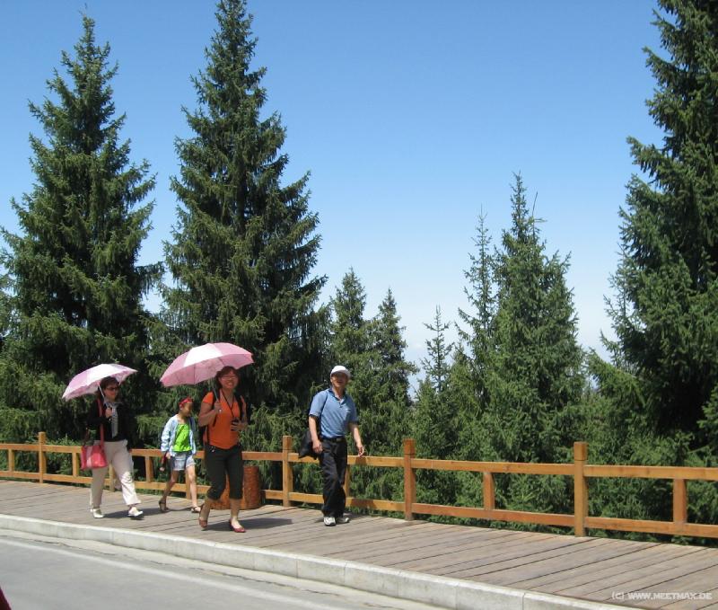 0088_Walk