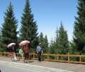 0088_Walk