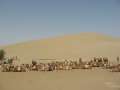 0248_Camel_parking_lot