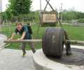 0342_Working_hard