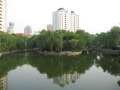 0436_Renmin_Park