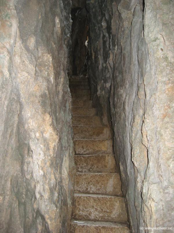 0720_Narrow