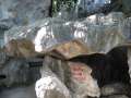 0689_Tortoise