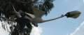 0775_Bird_lamp