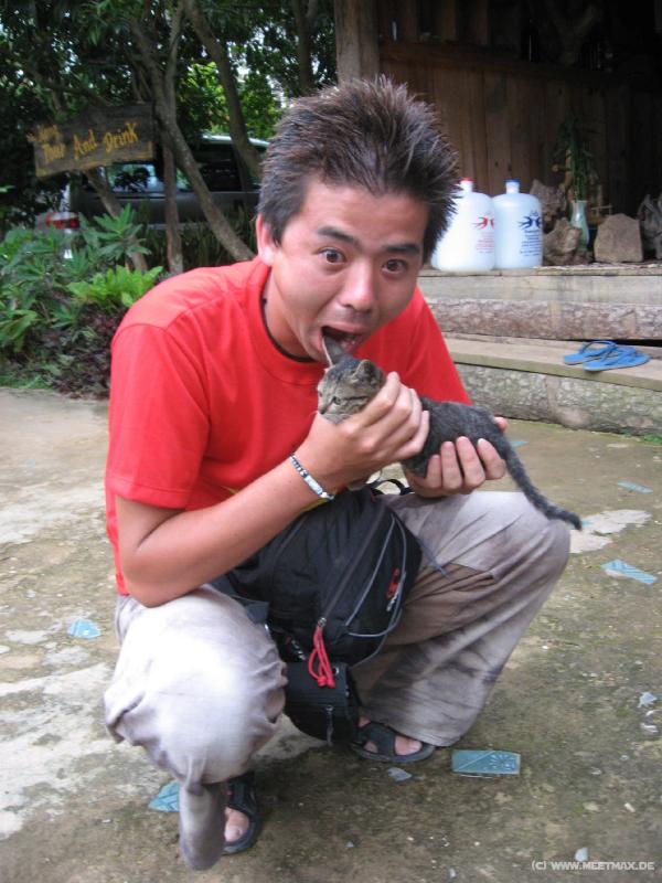 1171_Naoki_likes_cats