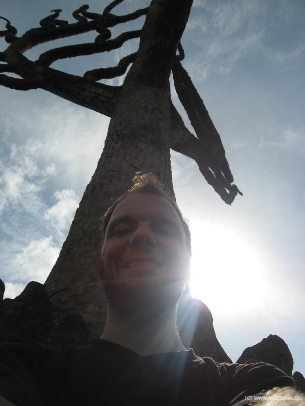 1231_Markus