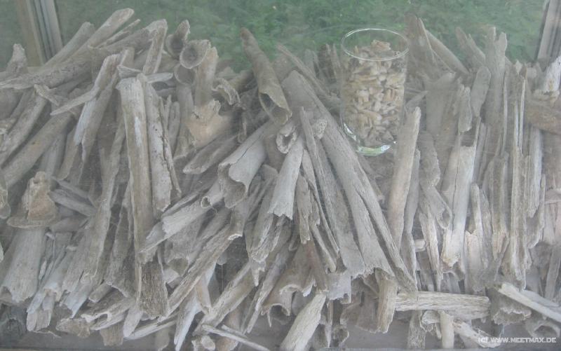 1457_Bones