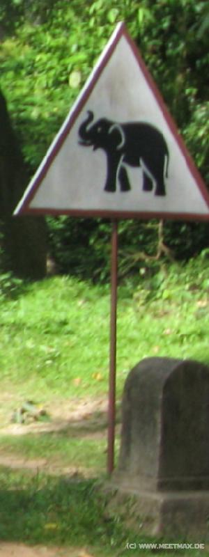 1621_Elephant_sign