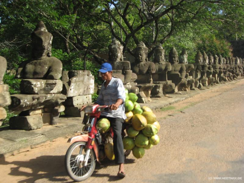 1628_Coconut_bike