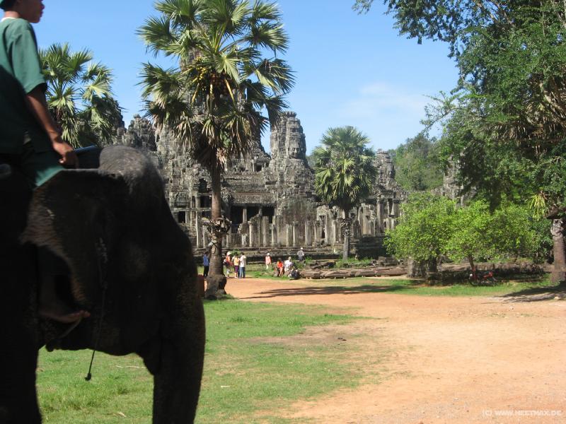 1664_Elephant