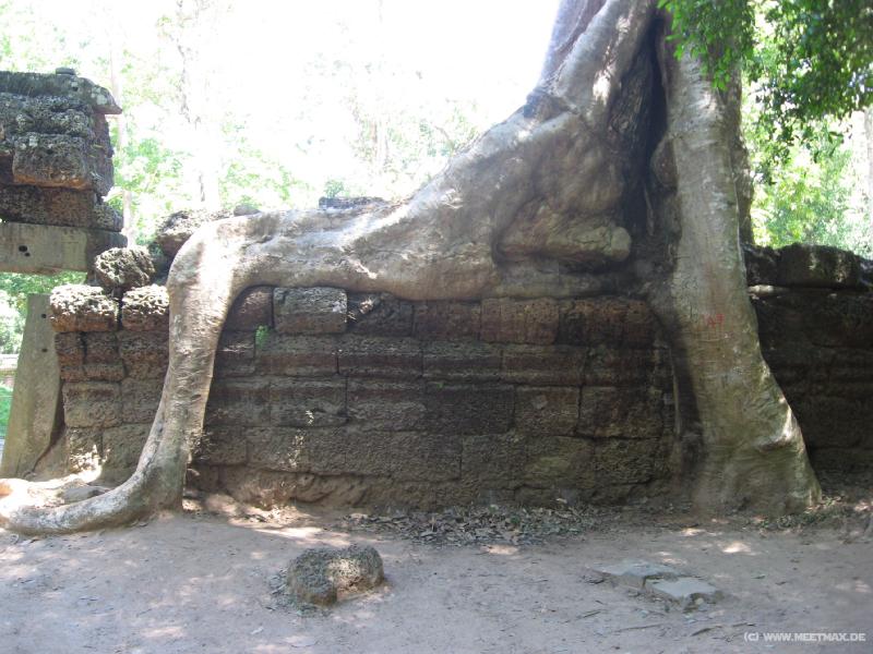1724_Ta_Prohm