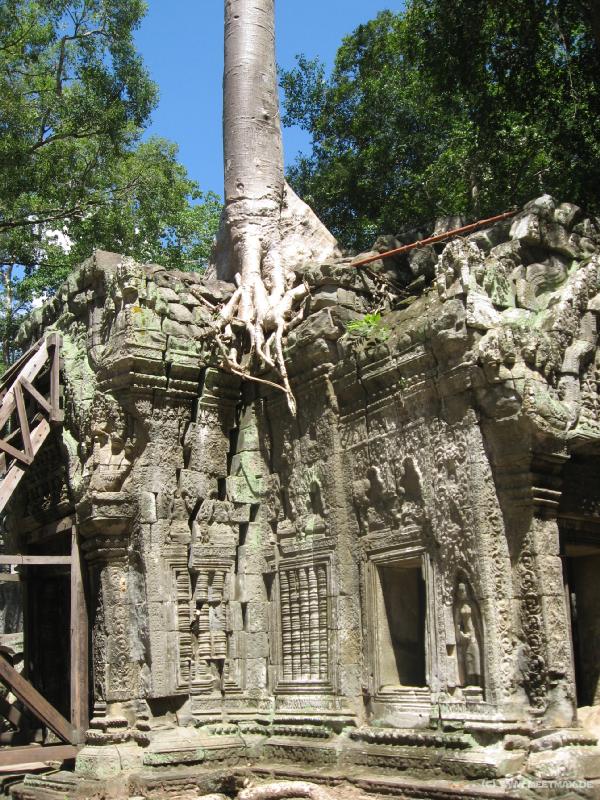 1728_Ta_Prohm