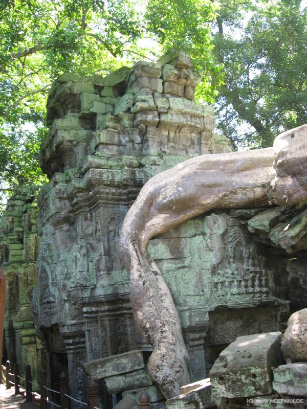 1732_Ta_Prohm