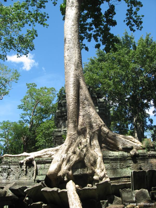 1740_Ta_Prohm
