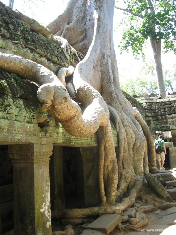 1743_Ta_Prohm