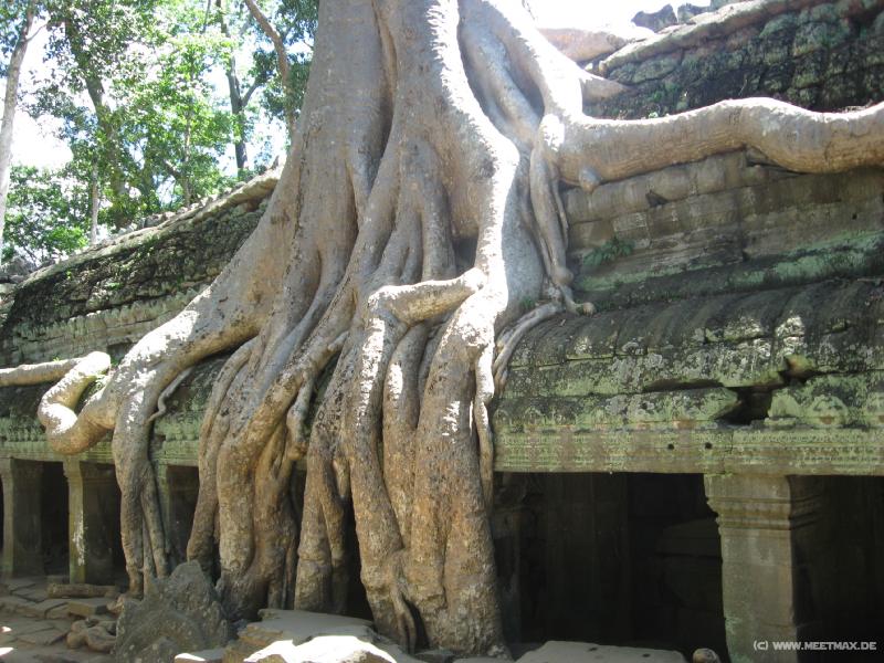 1744_Ta_Prohm