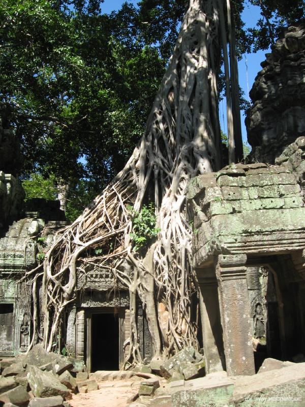 1747_Tomb_Raider