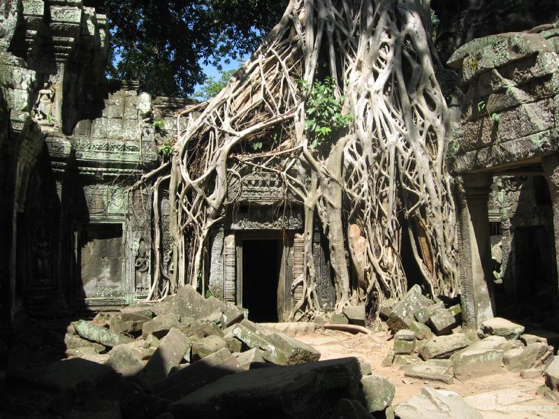 1748_Tomb_Raider