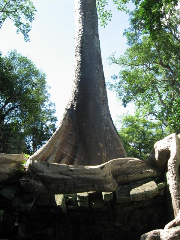 1750_Ta_Prohm