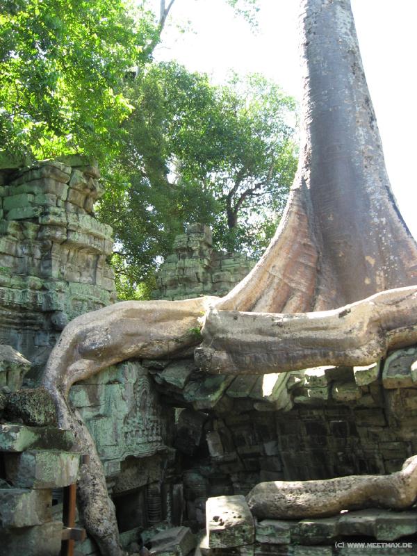 1751_Ta_Prohm