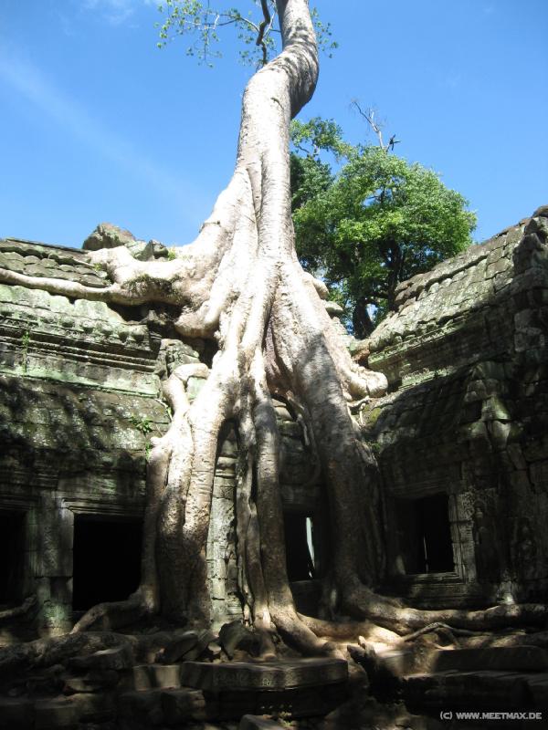 1753_Ta_Prohm