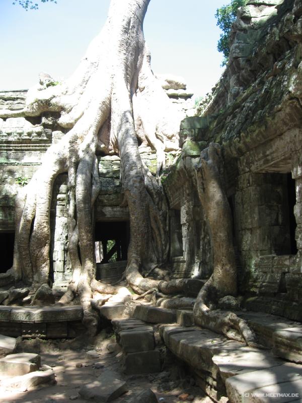 1754_Ta_Prohm