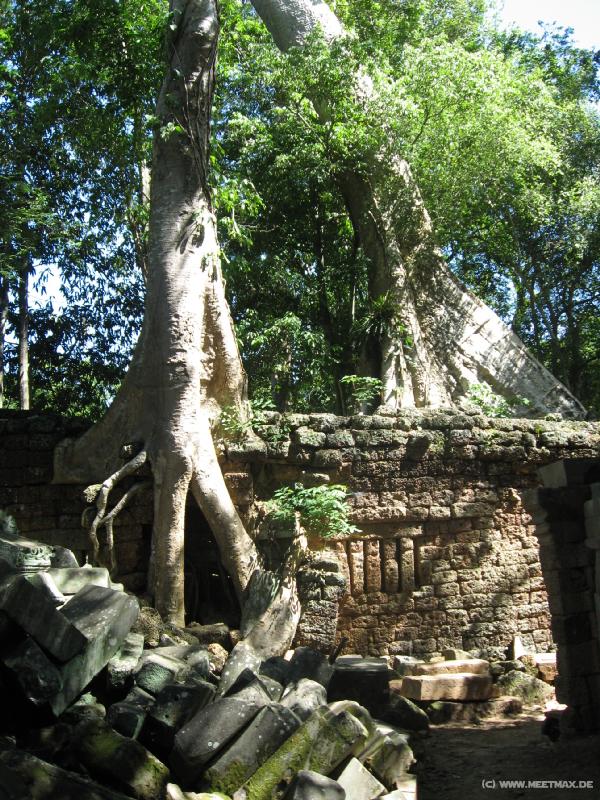 1756_Ta_Prohm