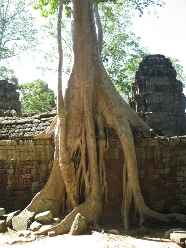 1758_Ta_Prohm