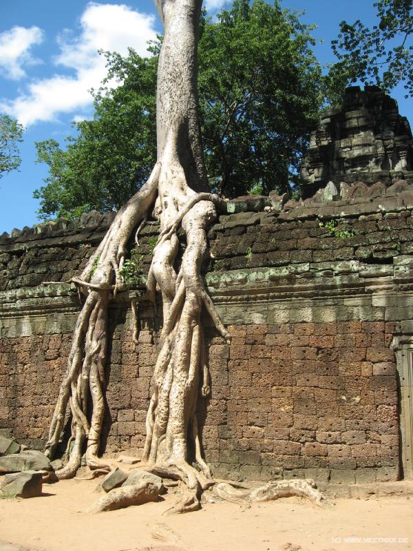 1759_Ta_Prohm