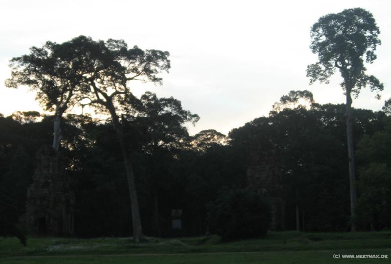 1807