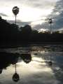 1574_Reflection