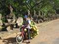 1628_Coconut_bike