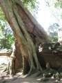 1726_Ta_Prohm