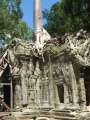 1728_Ta_Prohm